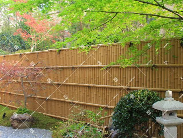 Bamboo Fencing